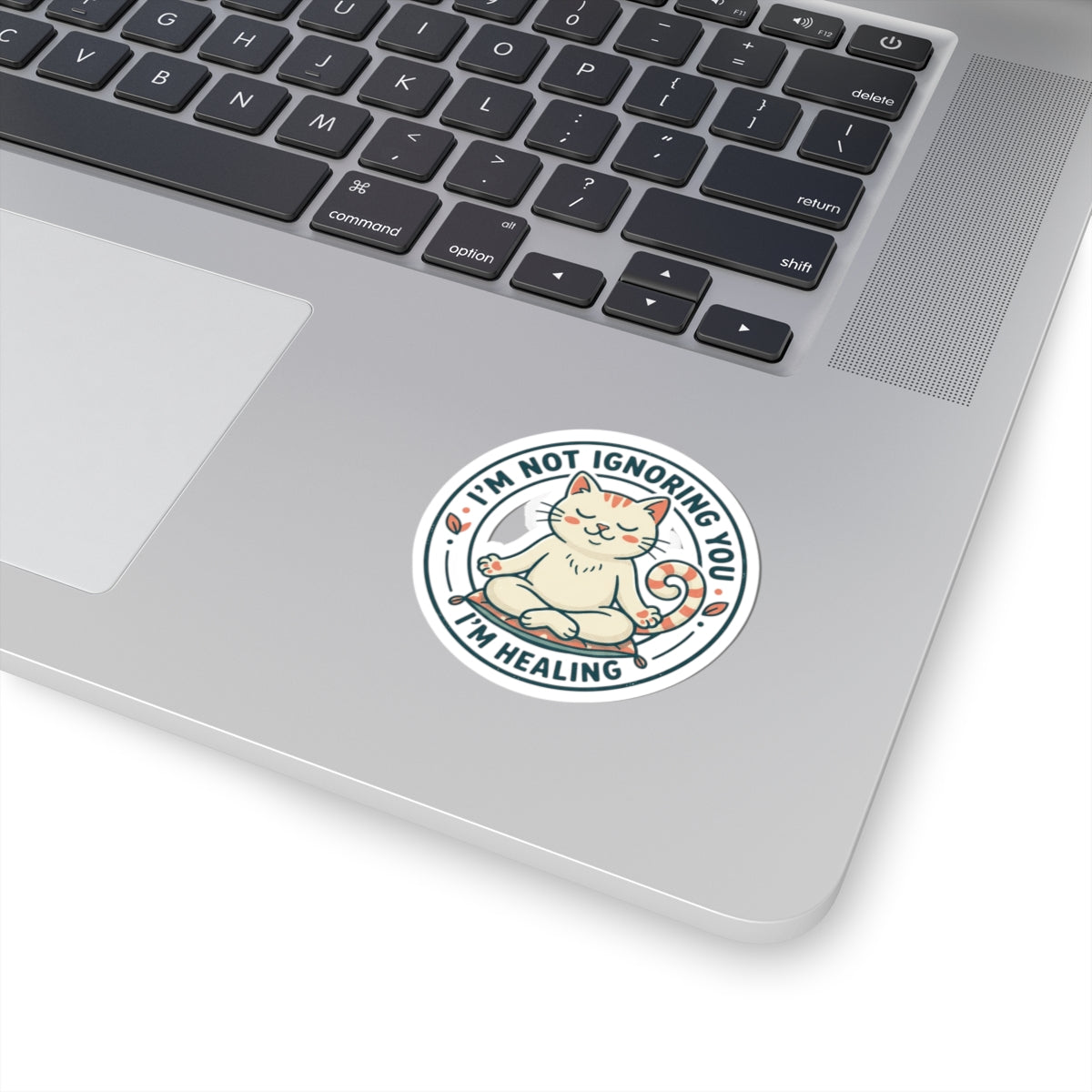 Healing Cat Kiss-Cut Sticker — "I'm Not Ignoring You, I'm Healing"