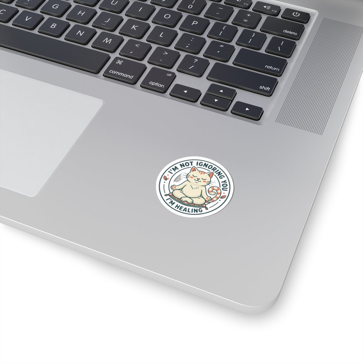 Healing Cat Kiss-Cut Sticker — "I'm Not Ignoring You, I'm Healing"